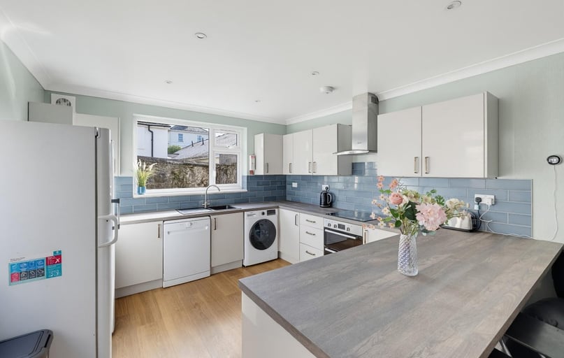 Diamond Avenue, Greenbank, Plymouth - Image 1